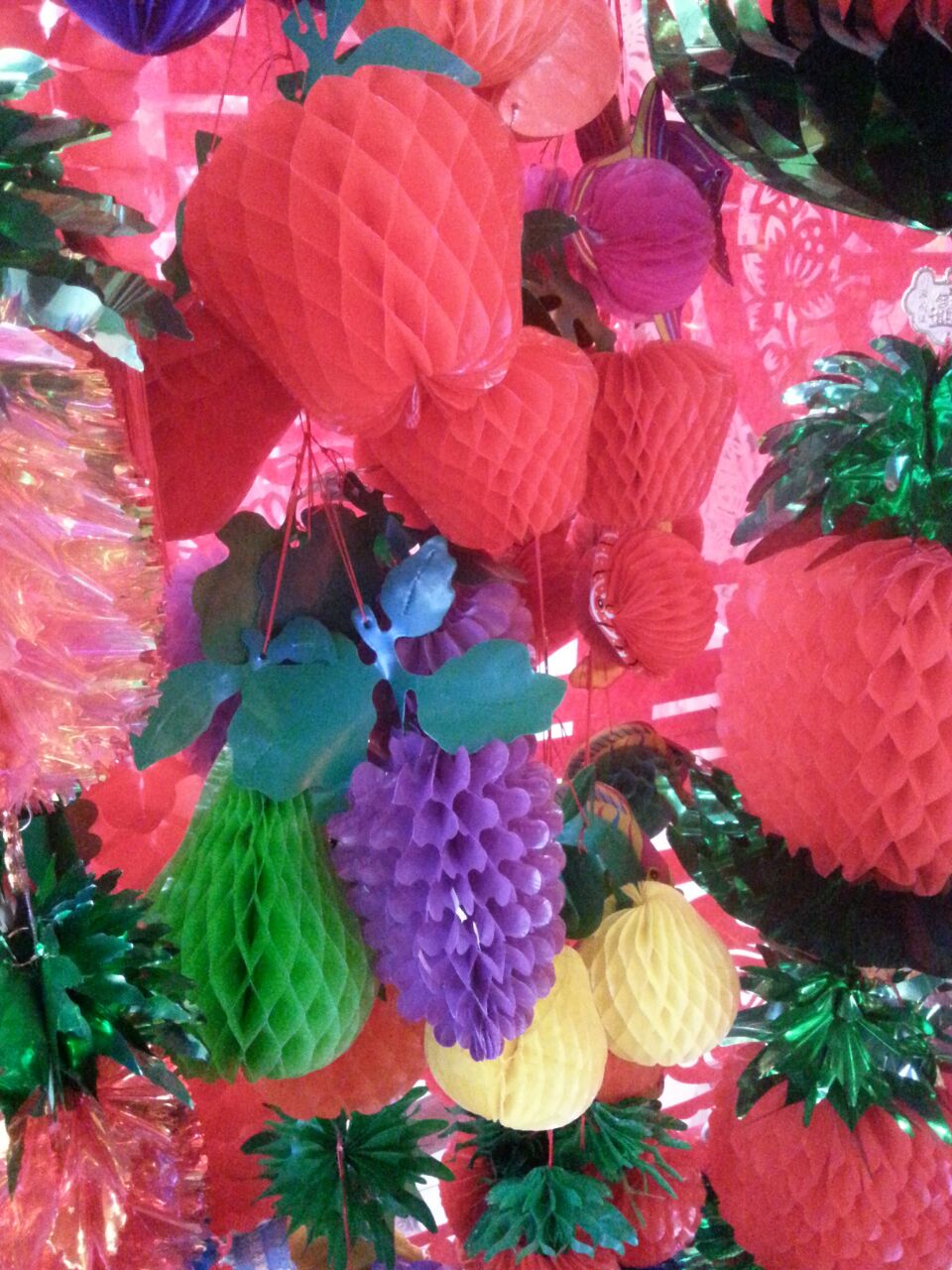 פירות נתלים